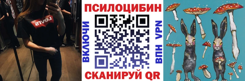 KRAKEN сайт  Шарья  Галлюциногенные грибы Cubensis 